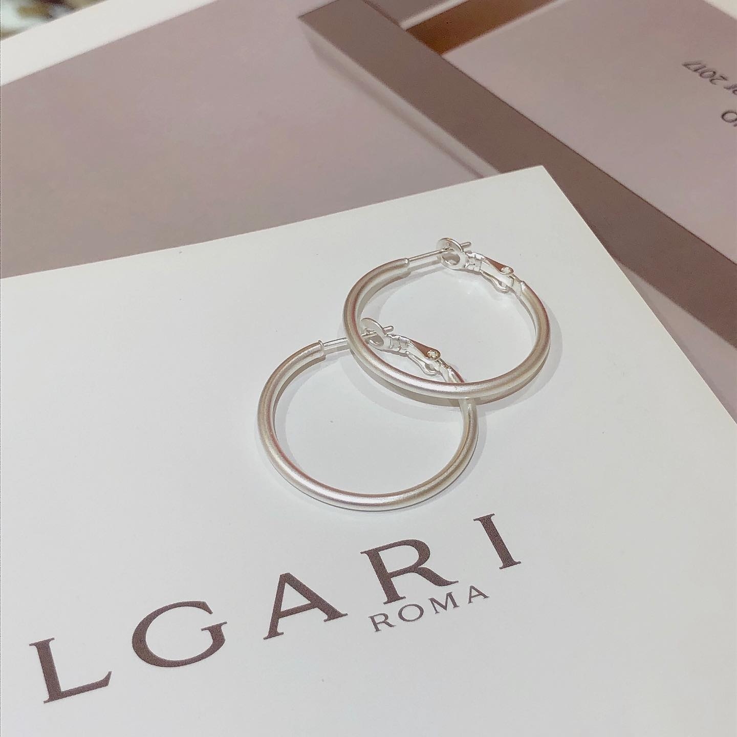 歐美霧面圈圈。鋼針耳環