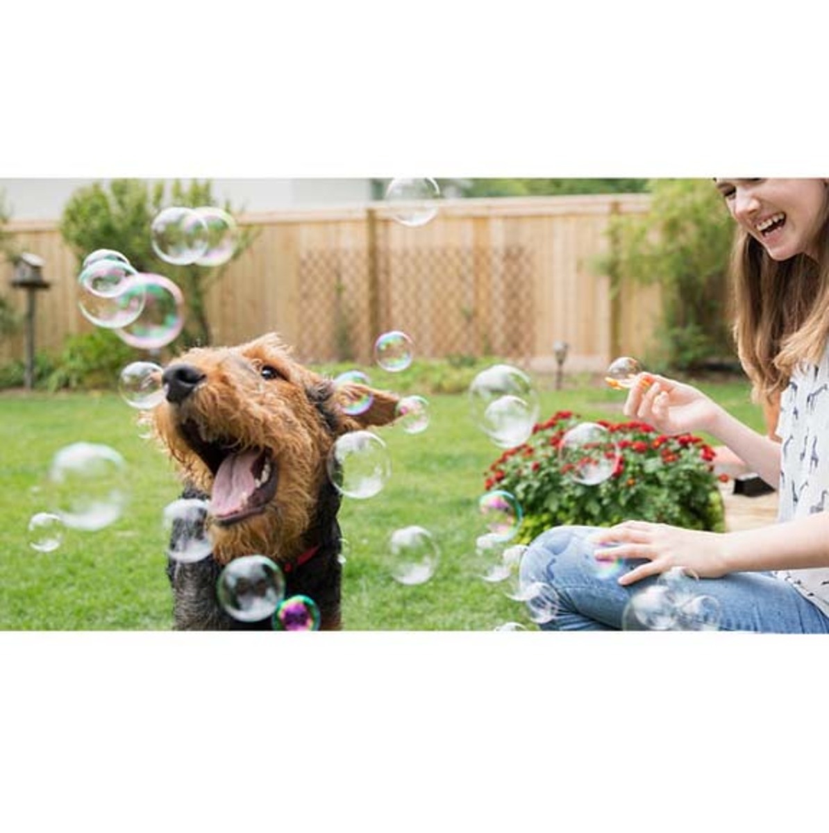 奇寵玩具 人、寵互動玩具 神奇貓咪泡泡 - 猫薄荷味 25ml