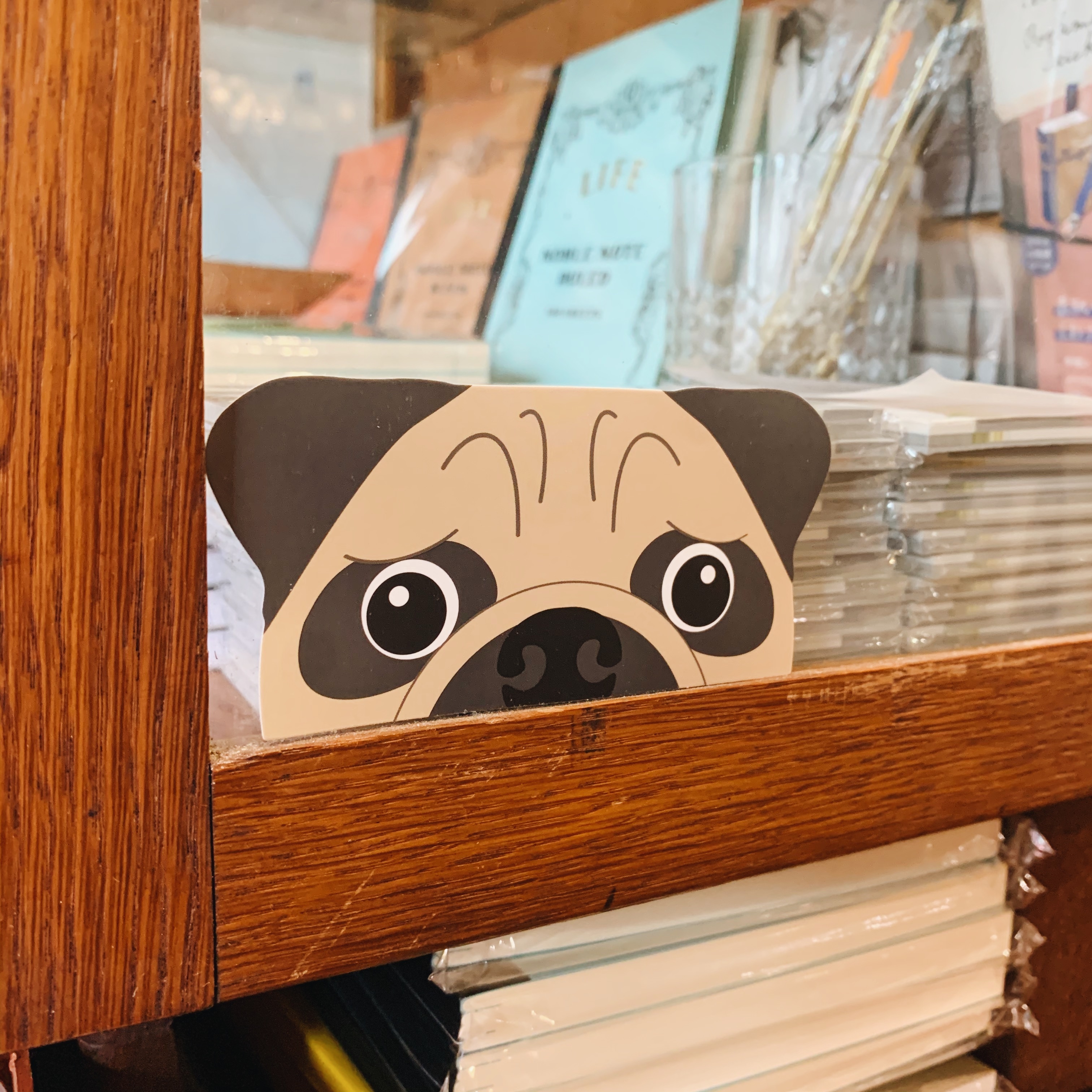 superB studio 狗出沒注意! 防水貼紙（熊出沒注意！）