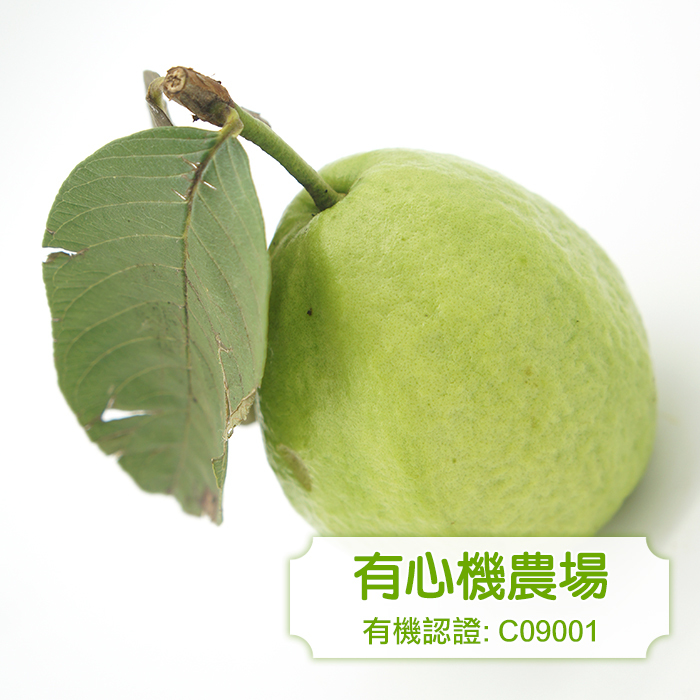 [有心機] Organic Guava 有機白肉番石榴 1磅 (453g)