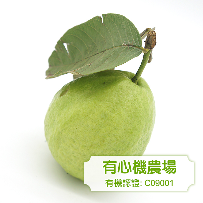 [有心機] Organic Guava 有機紅肉番石榴 1磅 (453g)