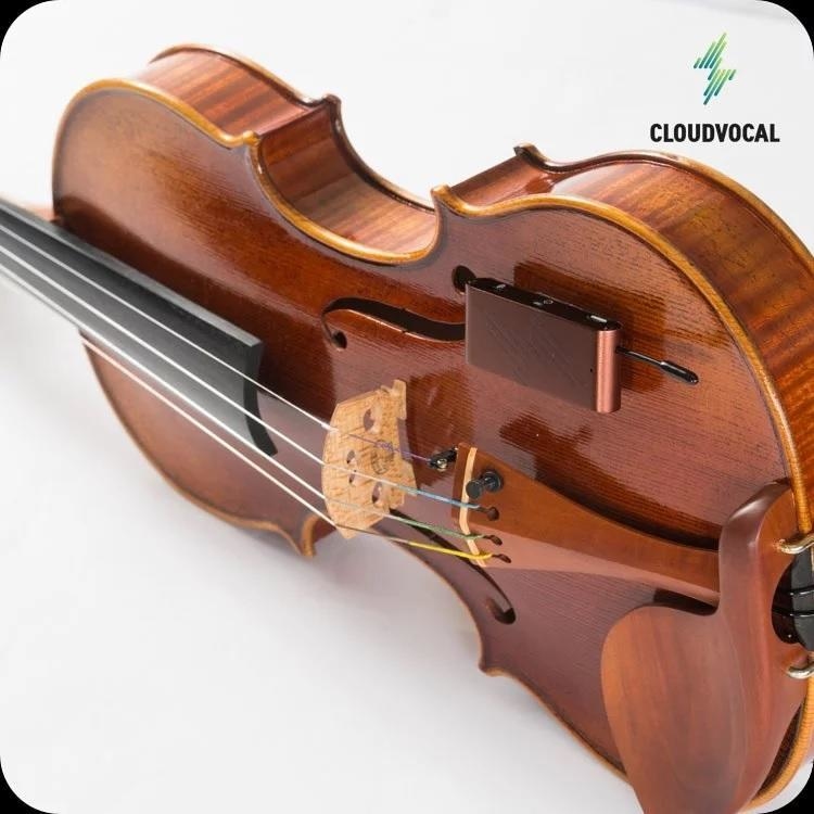 ISOLO CHOICE 樂器舞台表演系統 無線麥克風 【提琴版本】