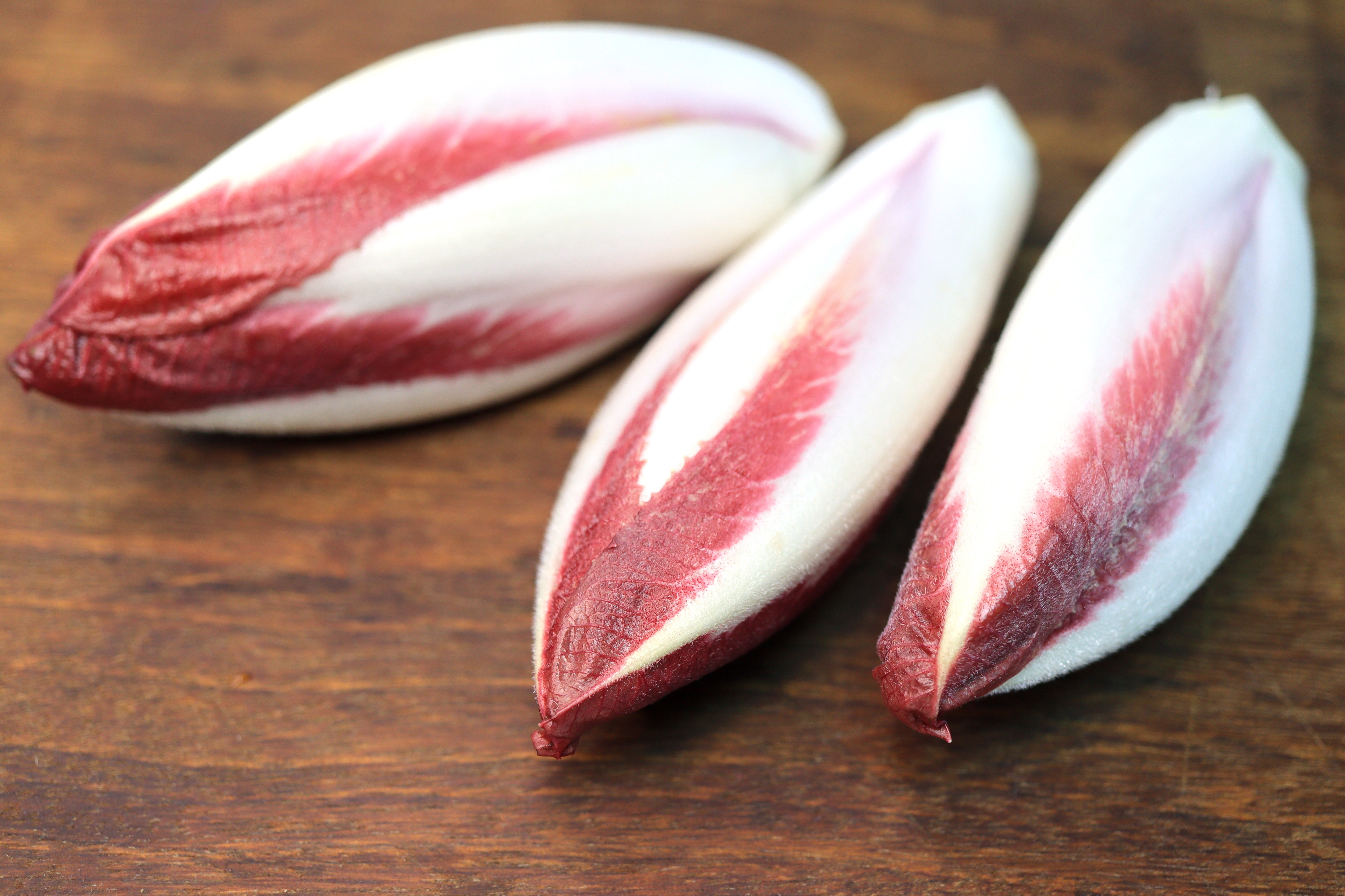 苦白菜（荷蘭）