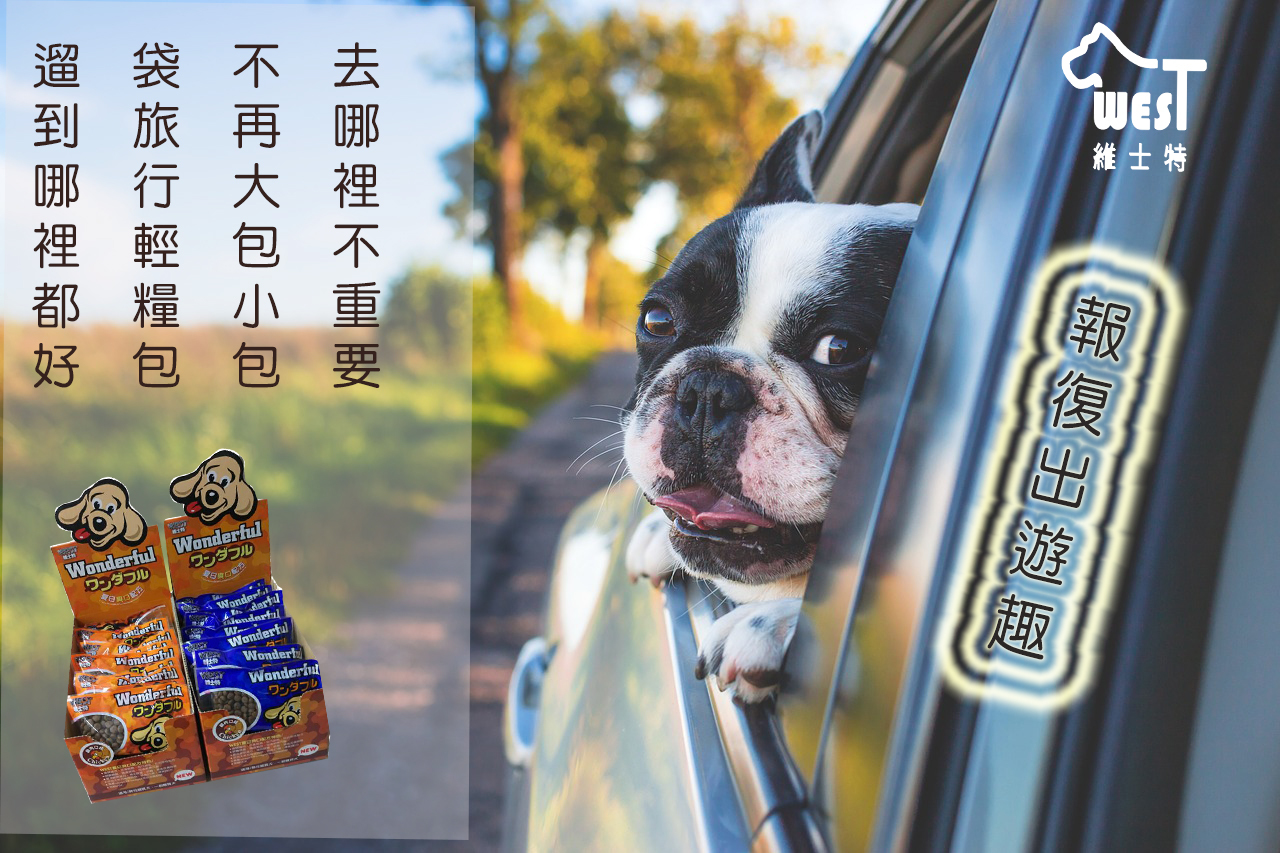 報復性出遊必備糧