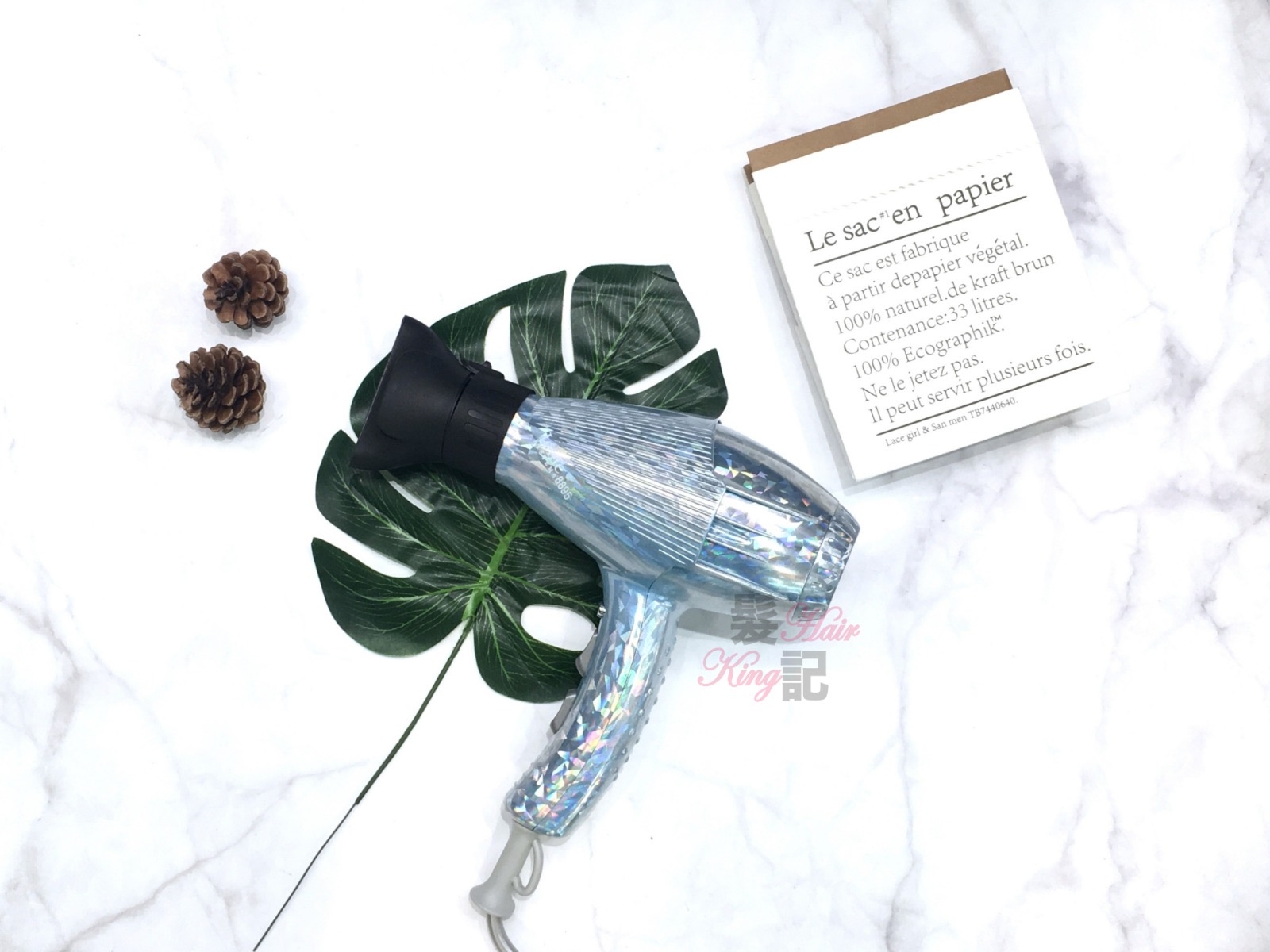 Ionic System 8895 Hair Dryer