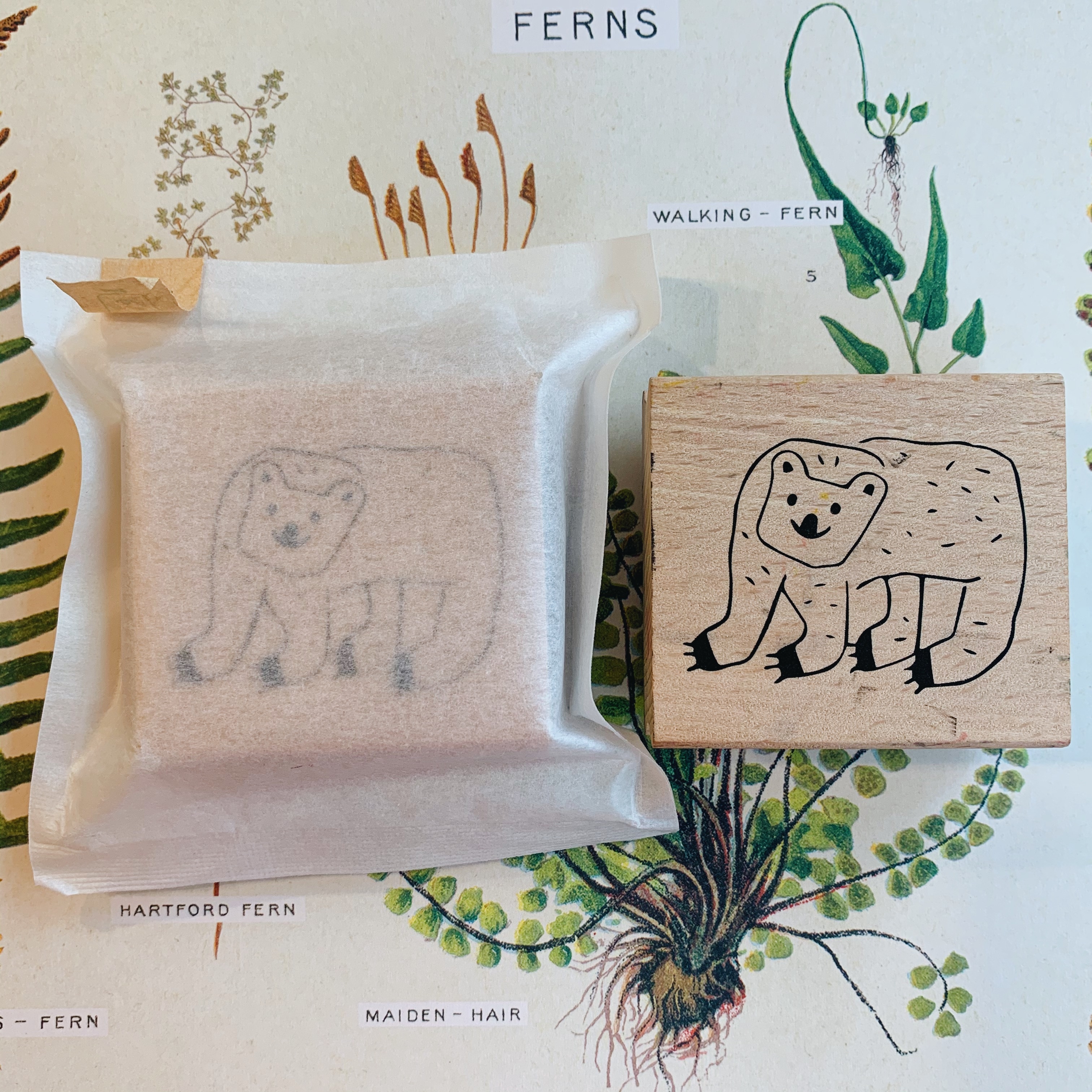 小島匠所 單顆大印章 熊你好