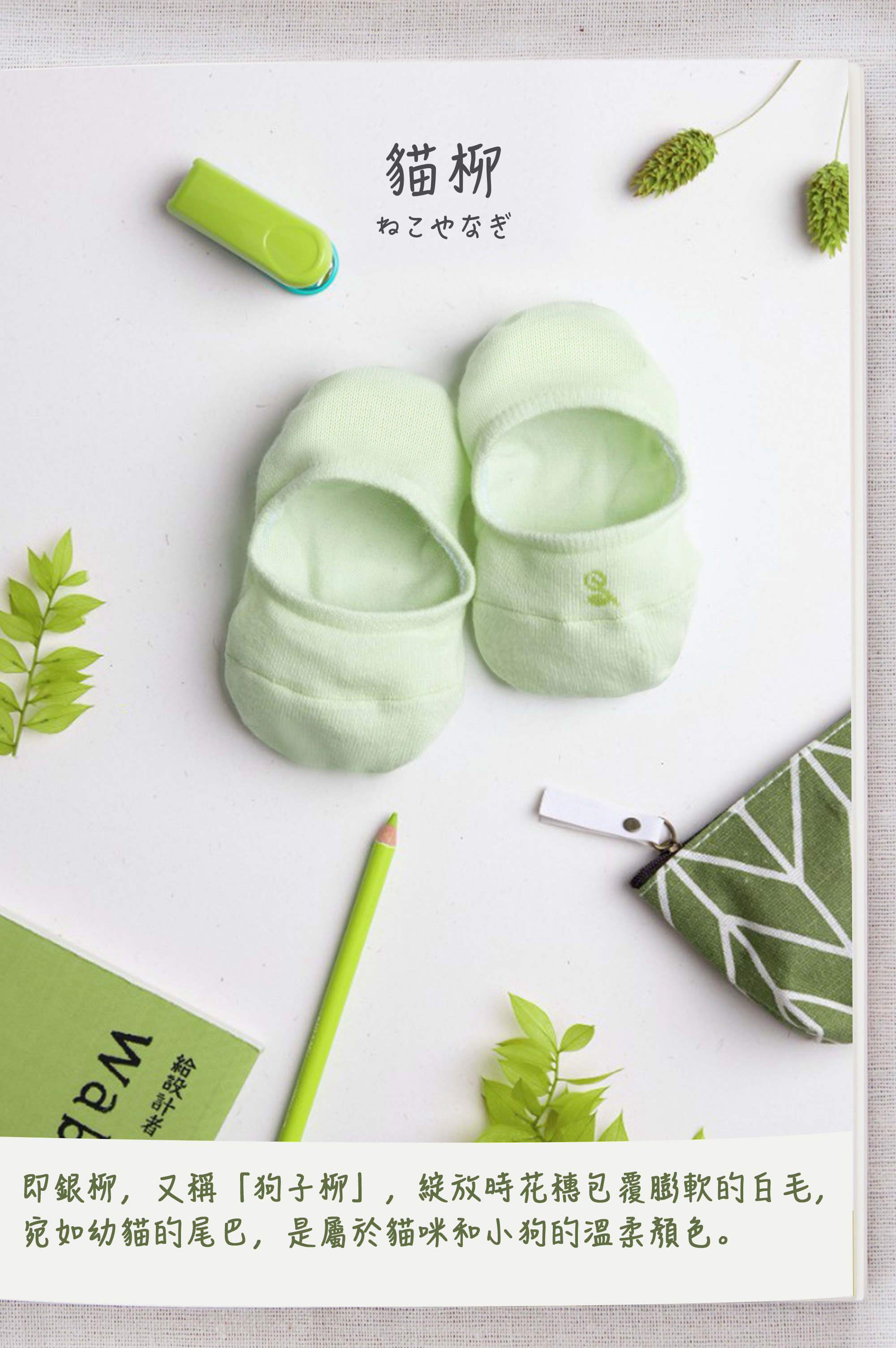 即銀柳,又稱「狗子柳」,綻放時花穗包覆膨軟的白毛, 宛如幼貓的尾巴,是屬於貓咪和小狗的溫柔顏色。