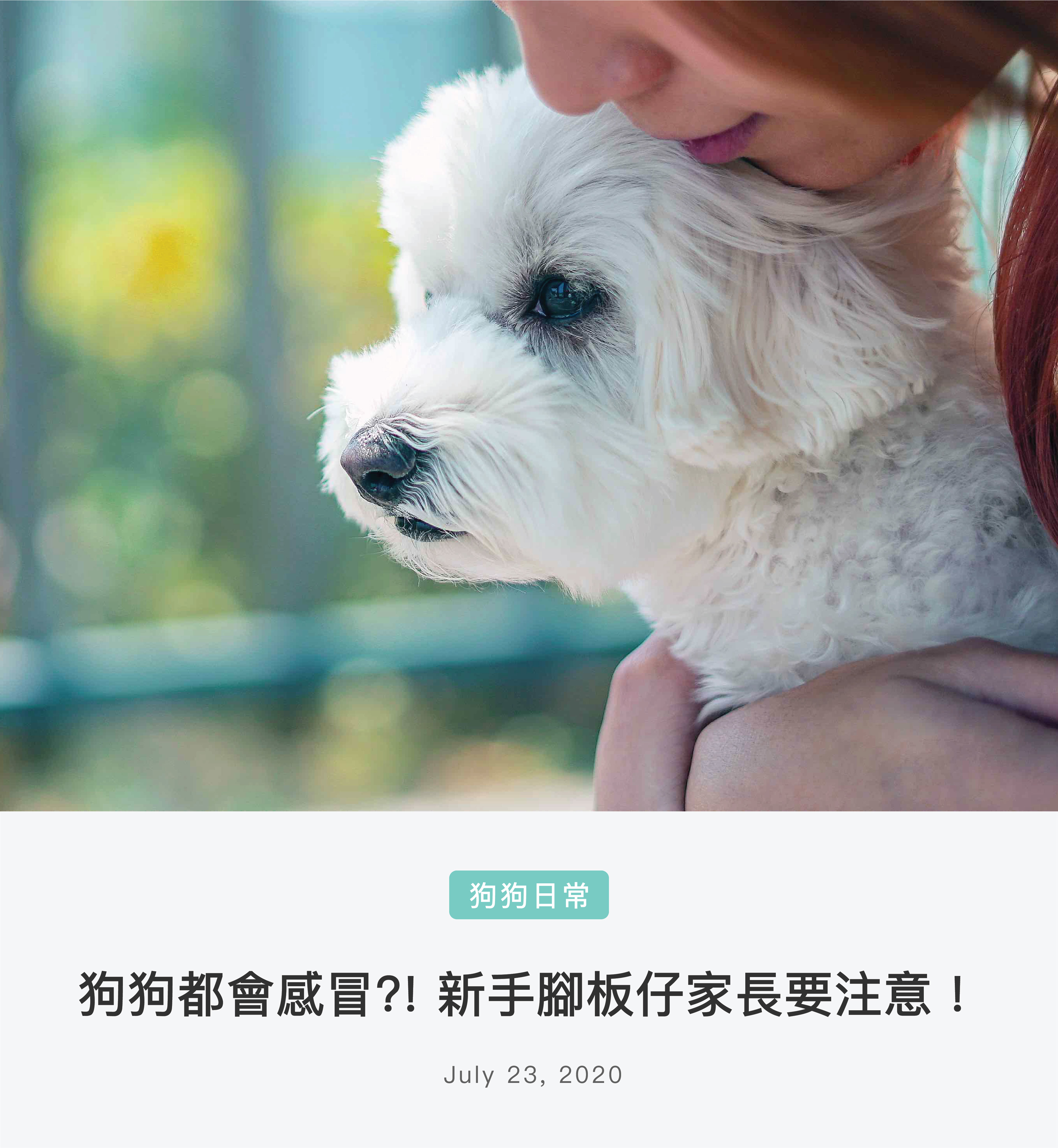 寵物, 鮮食, 鮮食磚, 狗糧, 狗狗感冒, 狗狗健康, 新手家長