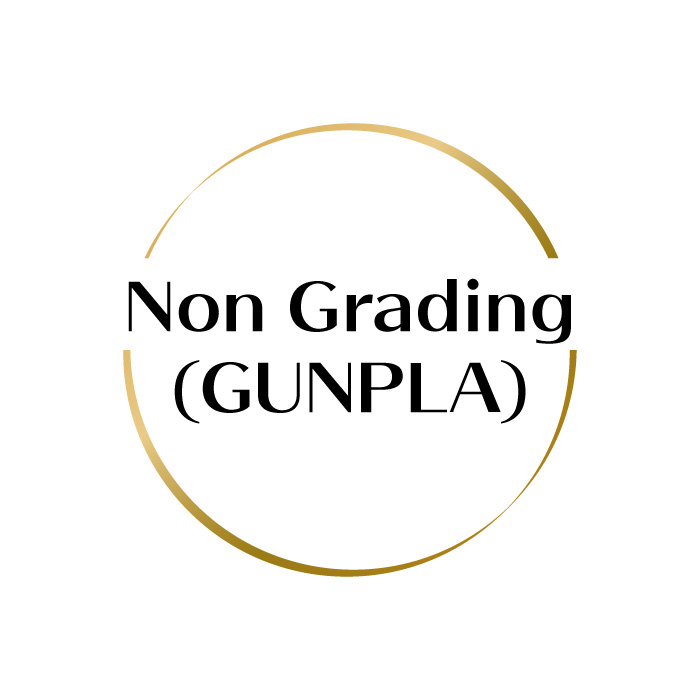 non-grading-gunpla