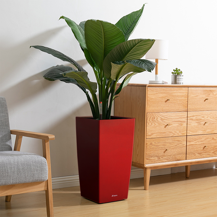 布查特方盆(39.5)