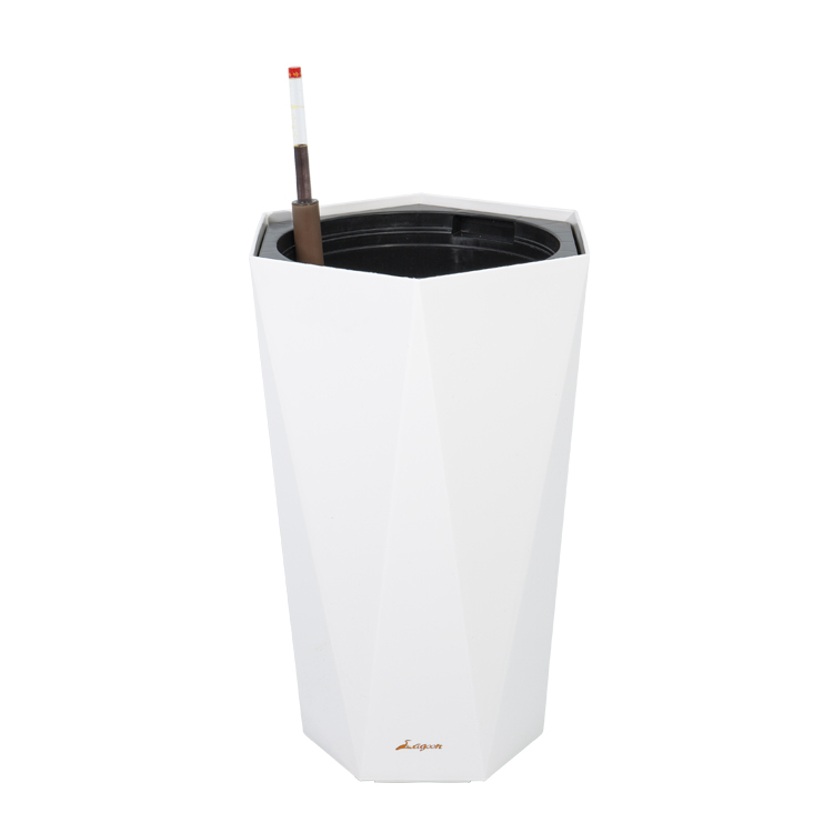 波波里幾何盆(39)