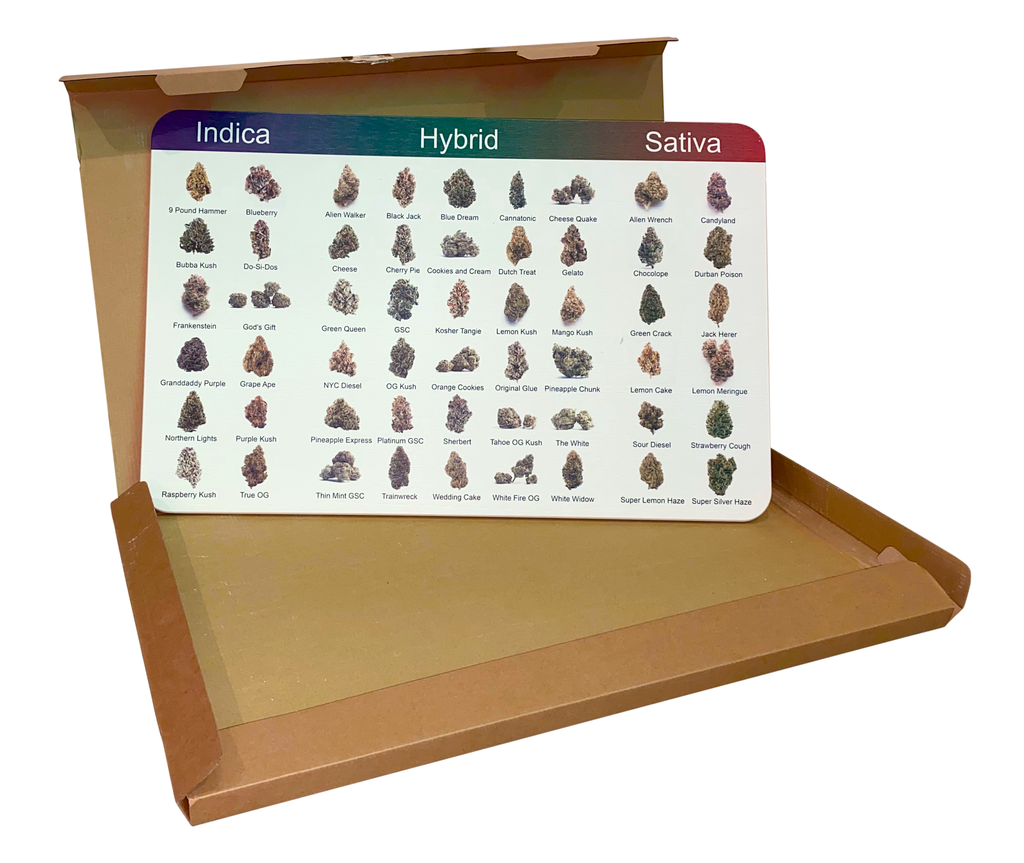 HK07 大麻圖鑑硅藻土腳踏墊兼海報看板 60 x 38cm