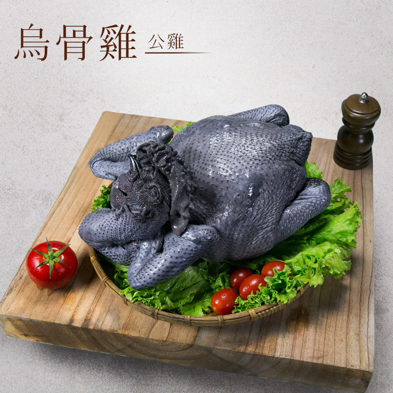 烏骨雞（公雞）