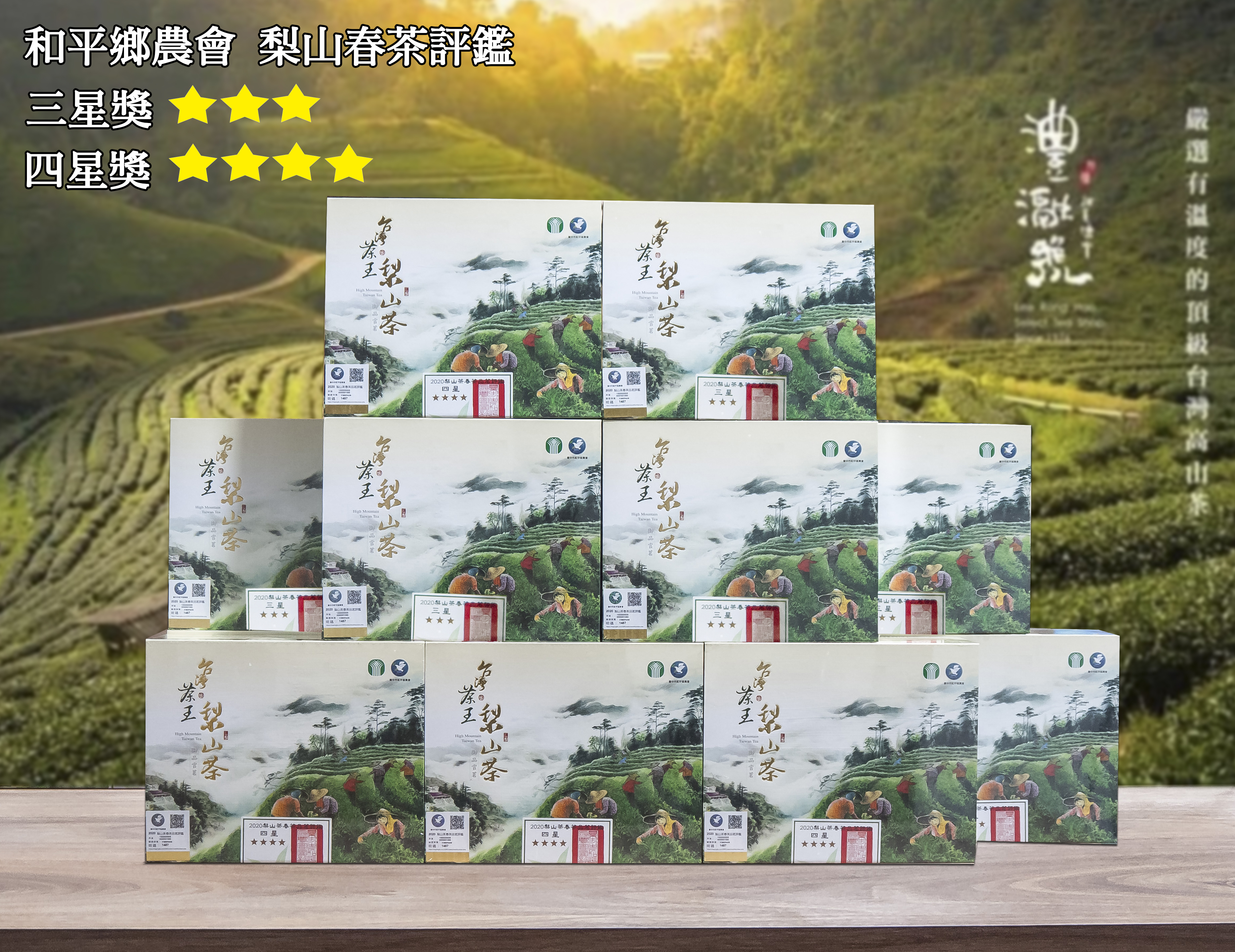 台灣茶王~梨山茶【4星】精緻盒裝/兩罐 2025春季比賽得獎茶精裝禮盒【頭等獎】梨山聚鑫製茶廠台灣高山茶