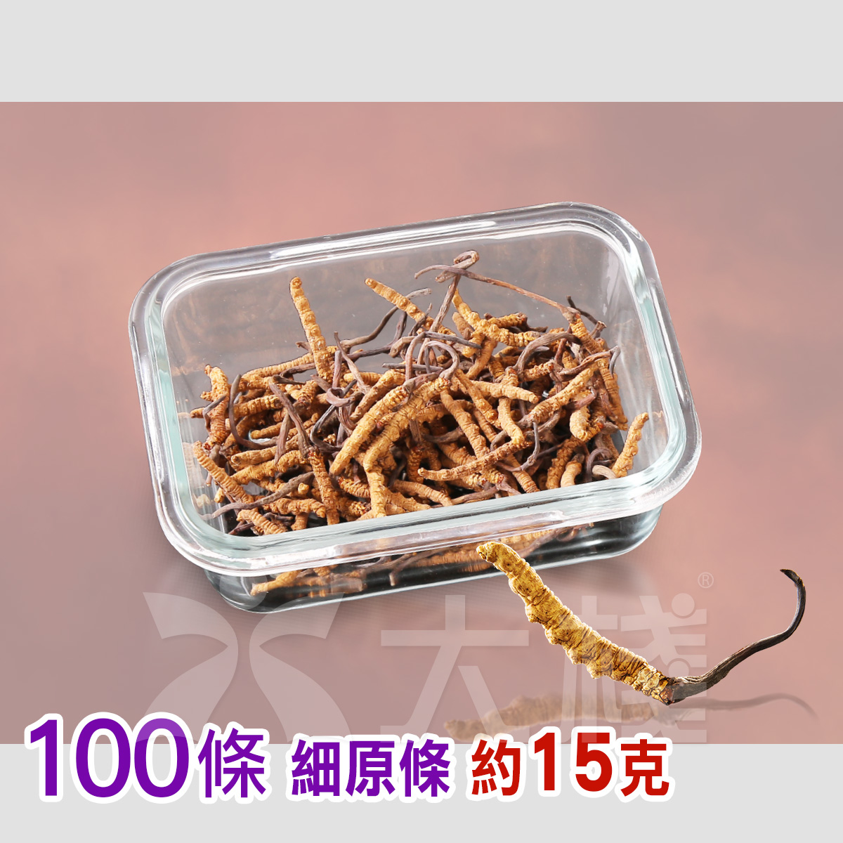 西藏冬蟲夏草 100細原條 (15克) (別稱 冬蟲草，蟲草，藏草) (不設退換)
