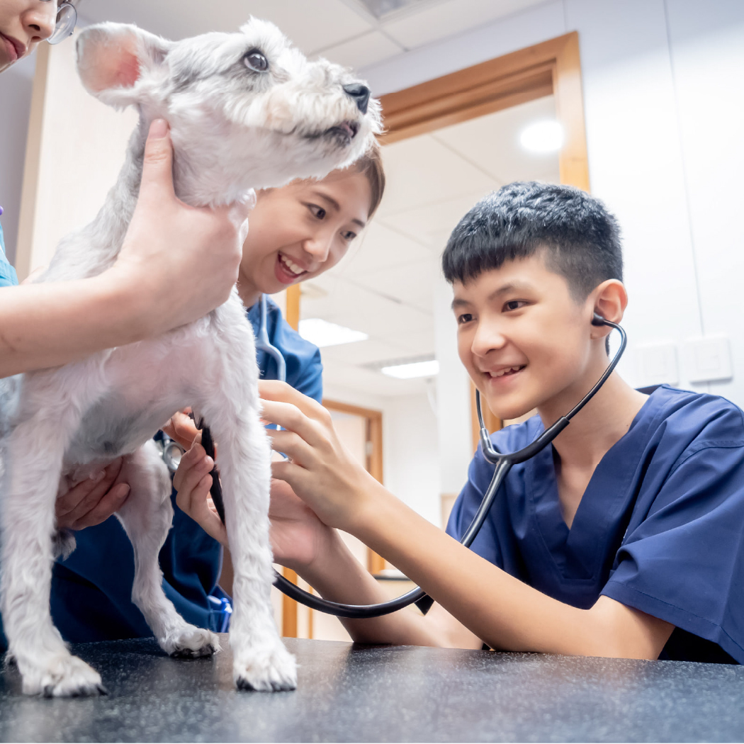 為願望童實現成為專業人士願望 ，如獸醫、消防員等