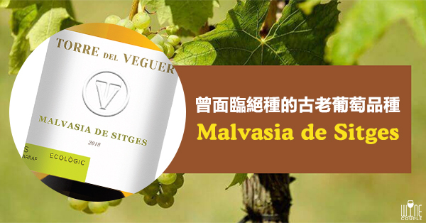 Malvasia de Sitges, Malvasia, 瑪爾維薩, 瑪爾維薩 . 錫切斯