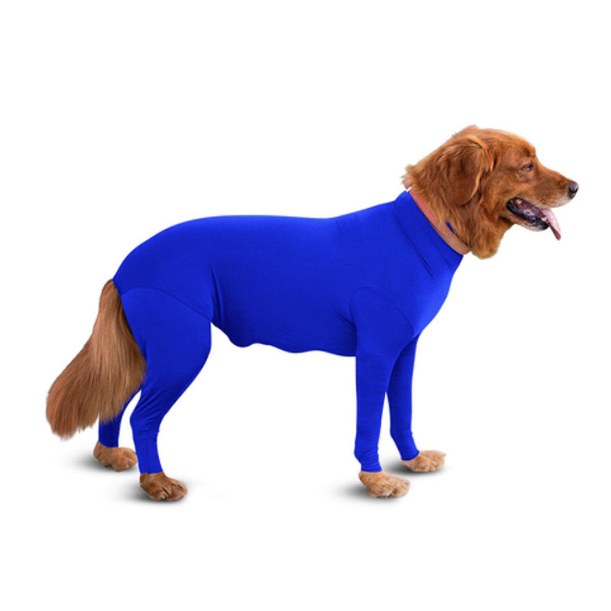 Shed Defender 狗狗多功能保護衣（寶藍色）[8 尺寸]