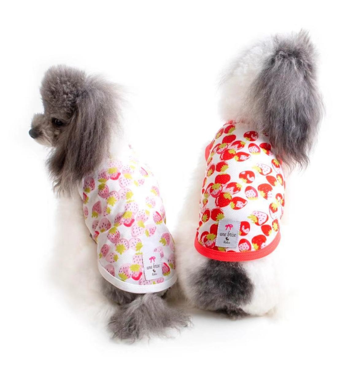 【超抵價！】RADICA【Thermo °C-25】恒溫防蚊狗狗衣服 - 紅色，草莓 [5尺寸]