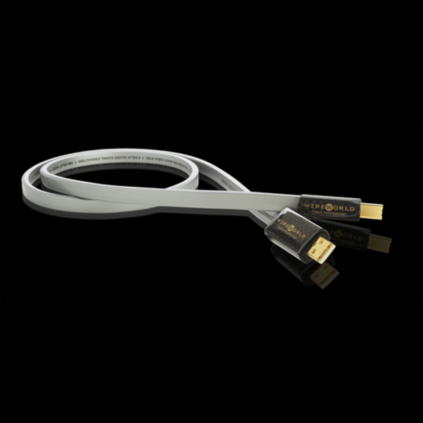 Wireworld Platinum Starlight 音響發燒USB線材