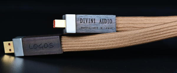 Divini 天樂音響 Logos 純銀USB線