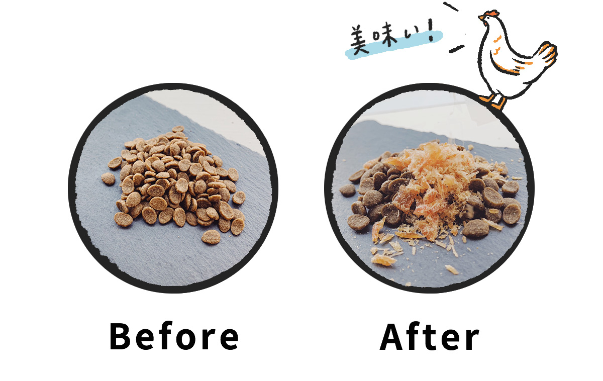 狗狗飼料拌雞肉鬆最好吃 BEFORE VS AFTER