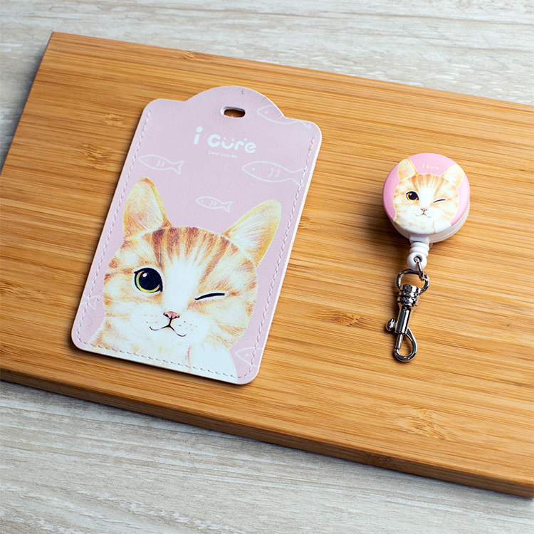 i好夾 伸縮萬用卡套組 / 米克斯_H17