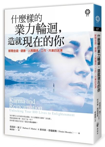什麼樣的業力輪迴，造就現在的你：解開金錢、健康、人際關係、工作、共業的迷津  Karma and Reincarnation：Unlocking Your 800 Lives to Enlightenment