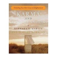 什麼樣的業力輪迴，造就現在的你：解開金錢、健康、人際關係、工作、共業的迷津  Karma and Reincarnation：Unlocking Your 800 Lives to Enlightenment