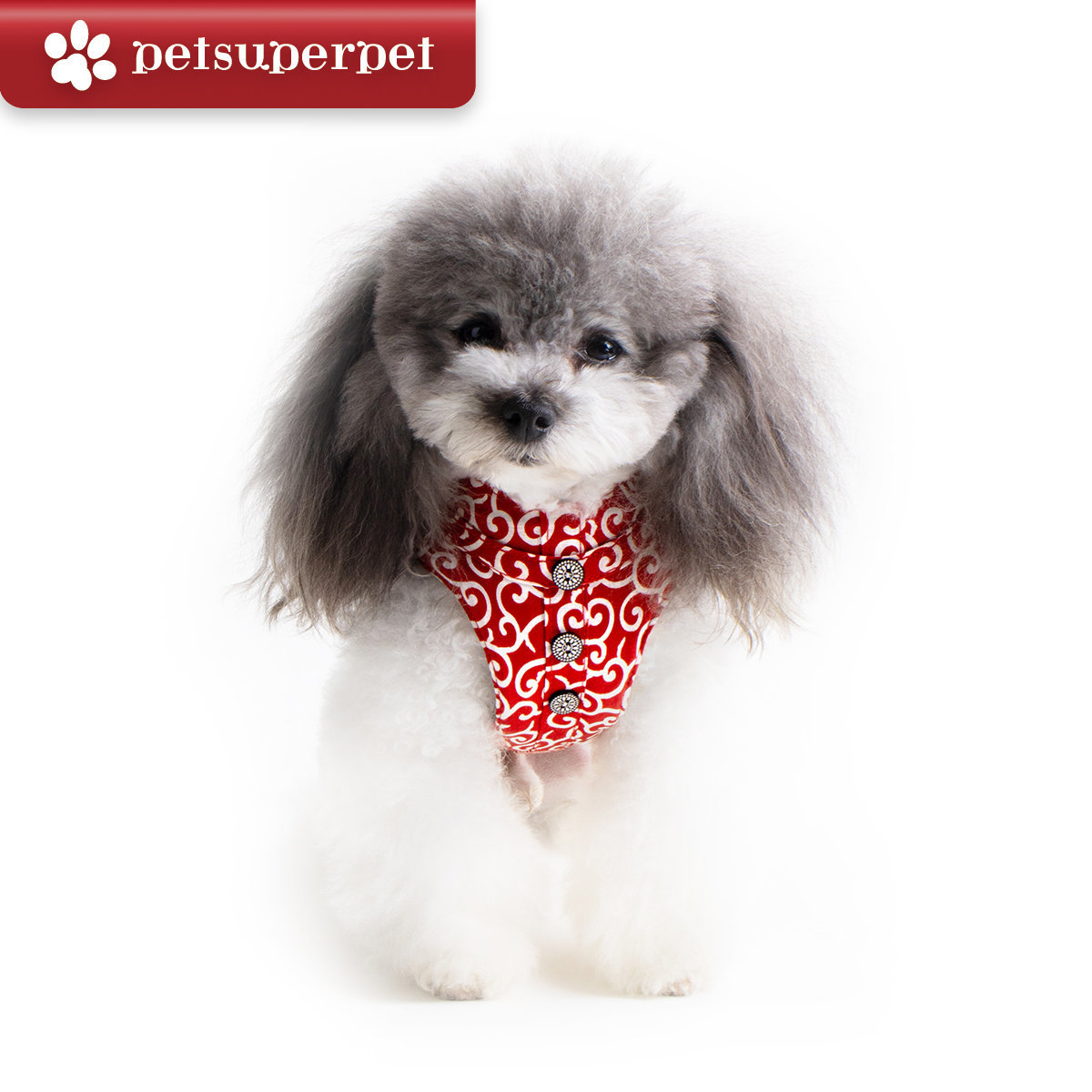 BLUE PORT 狗狗唐草胸背牽引繩 - 紅色 [3尺寸]