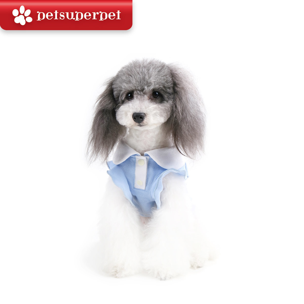 BLUE PORT 狗狗Polo連衣裙  - Blue (SS碼)