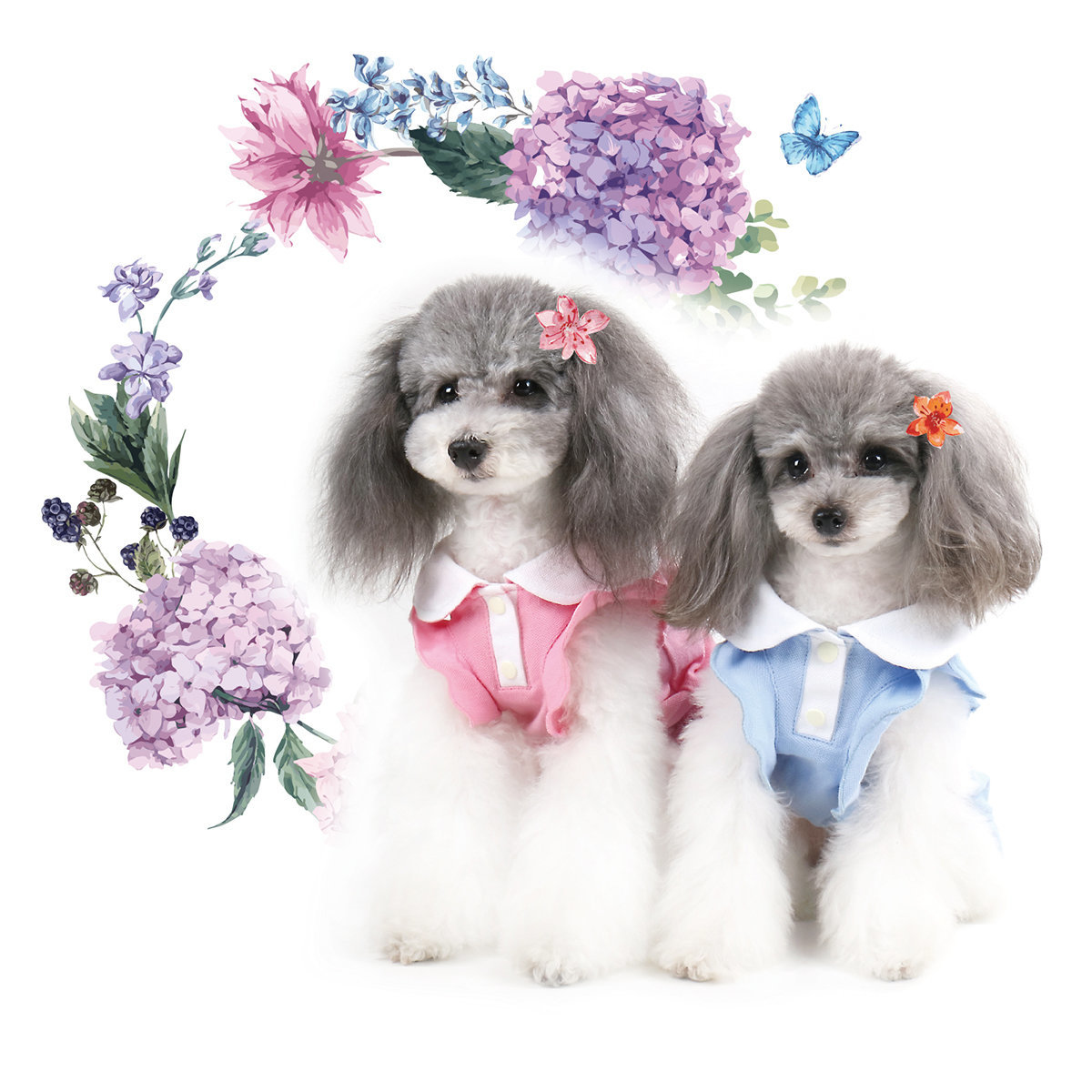 BLUE PORT 狗狗Polo連衣裙  - Blue (SS碼)