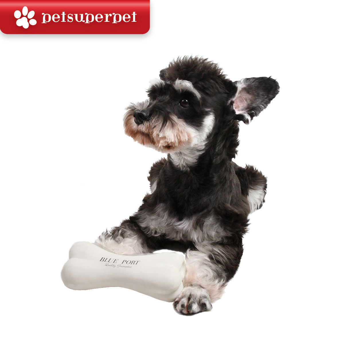 BLUE PORT 骨頭玩具 (平行進口貨品)