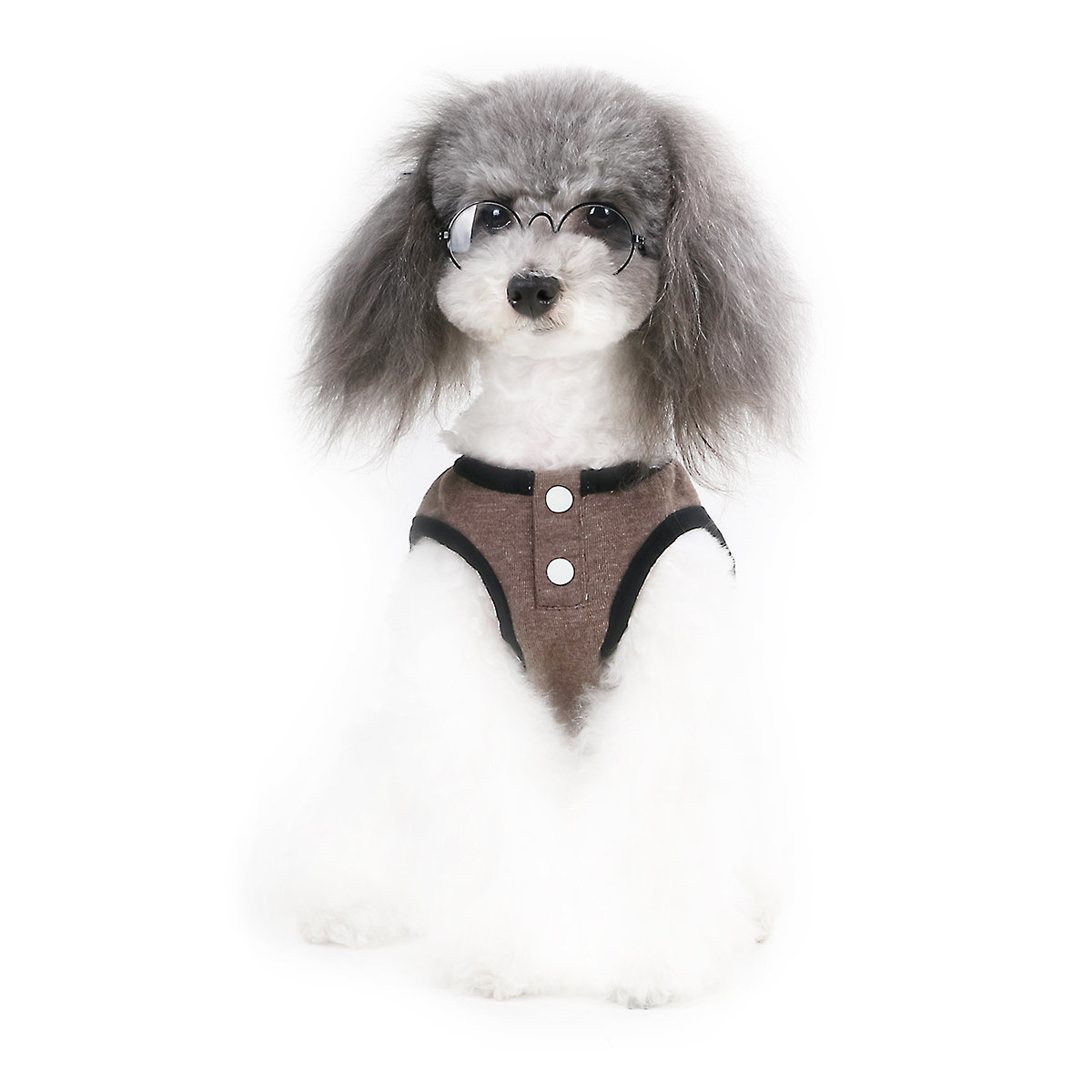 BLUE PORT 啡色圖案T恤 [3尺寸]