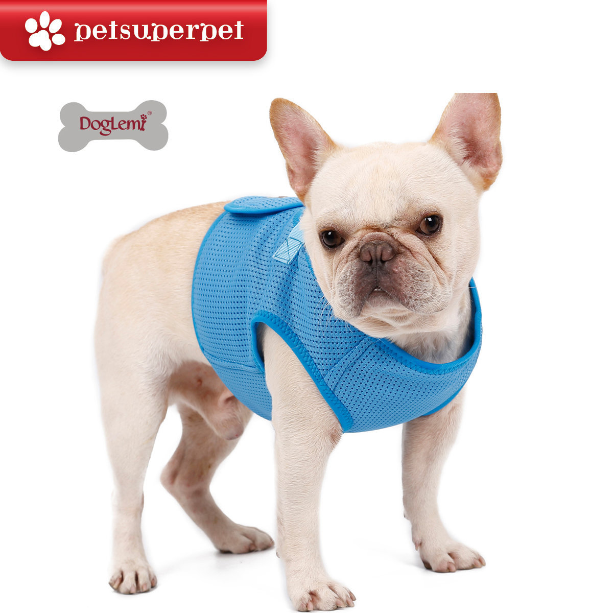 DogLemi 網布胸背套 - 藍色 [5尺寸]