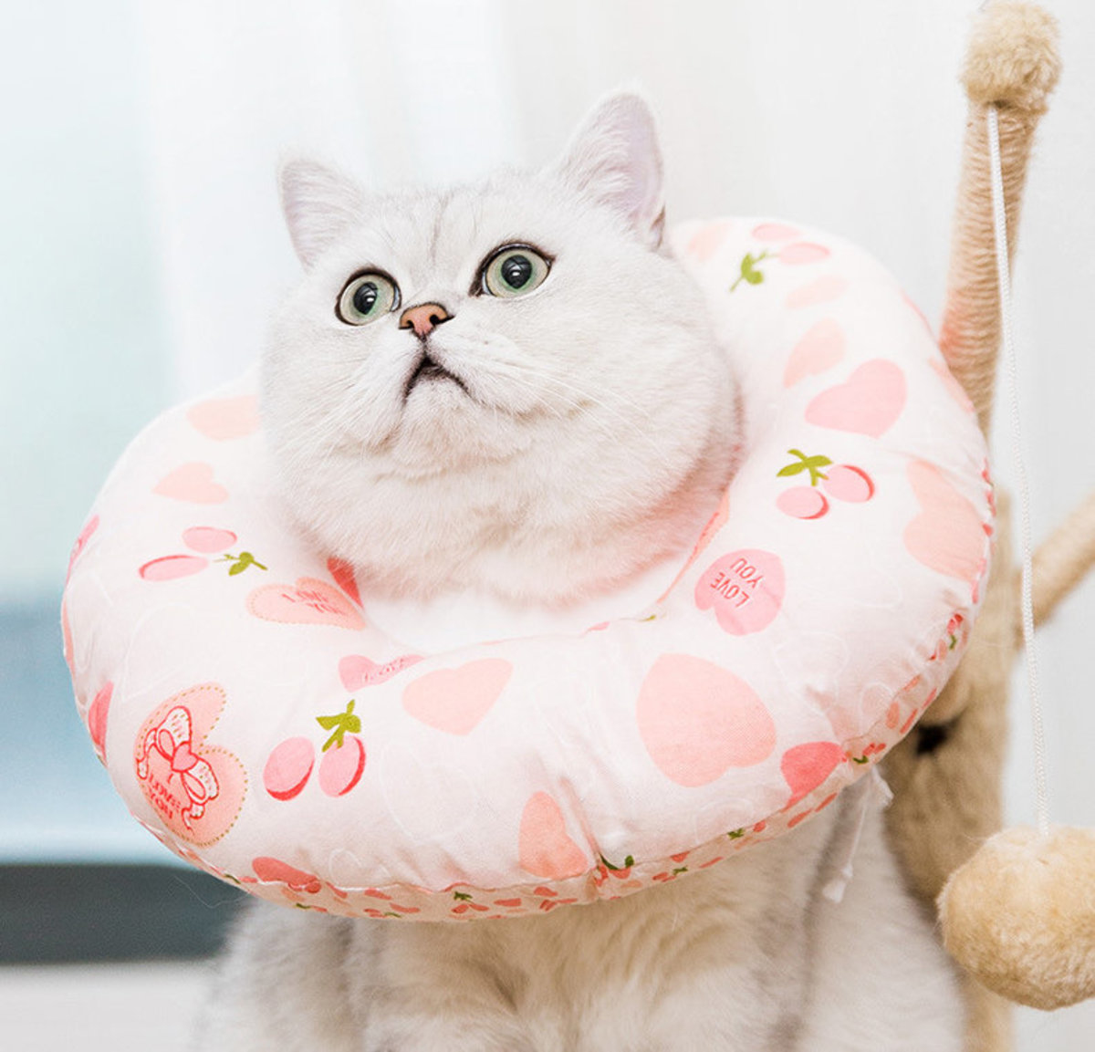 Petsuperpet 狗/貓防咬防舔防抓頸圈-粉紅心 [5尺寸]