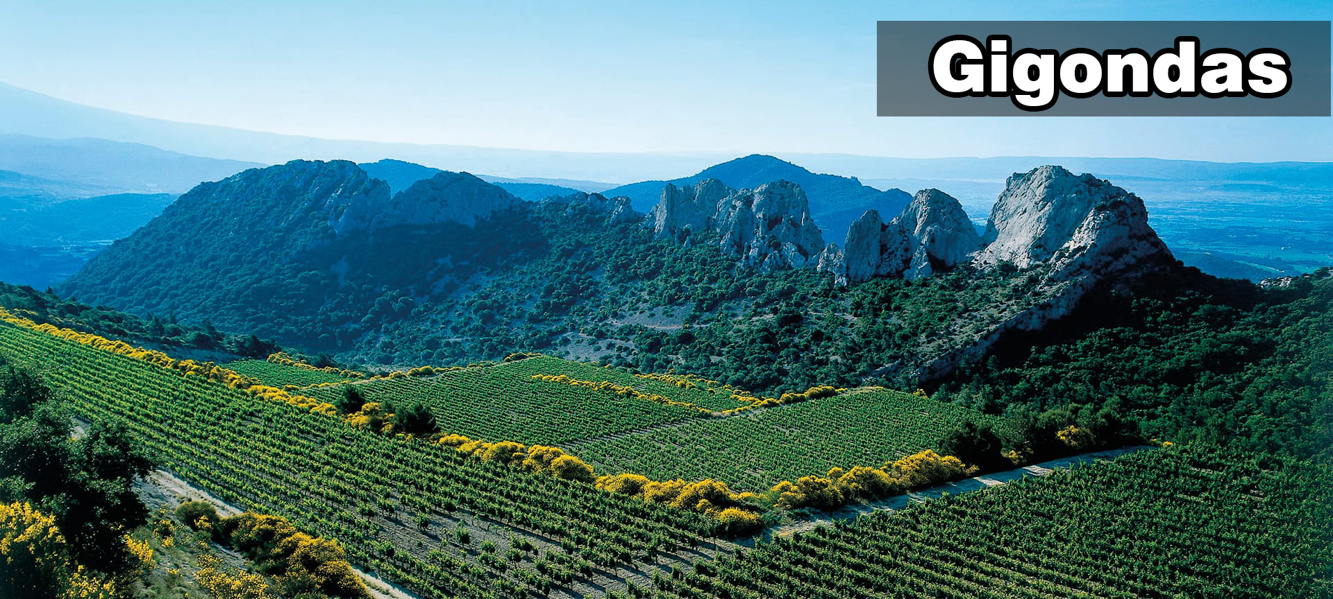Gigondas AOC丨吉恭達斯法定產區丨Wine Couple 醇酒伴侶