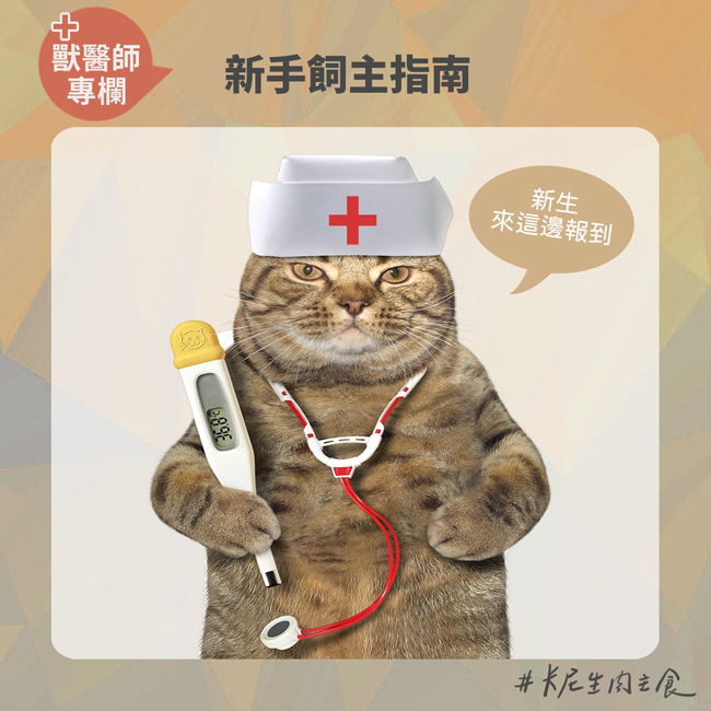 獸醫專欄,寵物絕育,醫療指南,預防針,驅蟲,結紮,異食癖,濕食,寄生蟲,佐劑,注射部位肉瘤