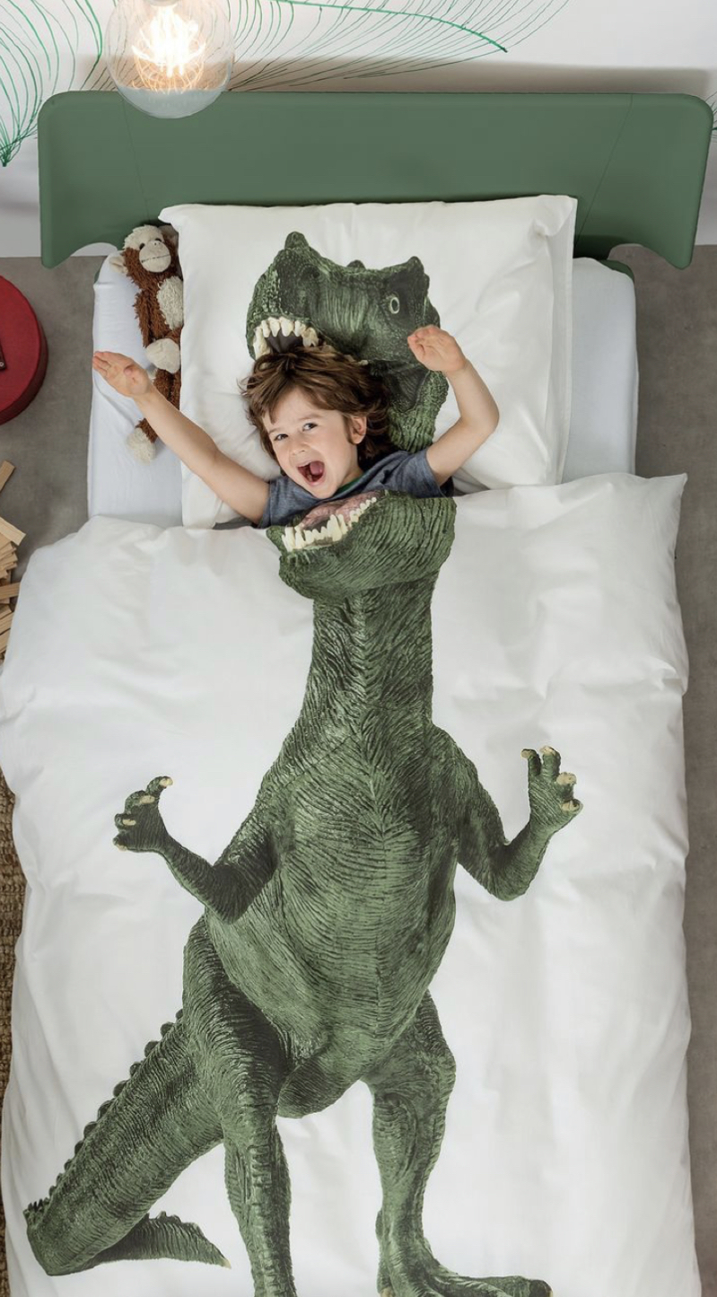 Dinosaur & Rocket Bed