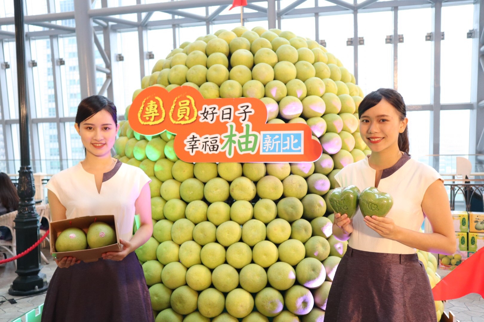 新北文旦柚上市