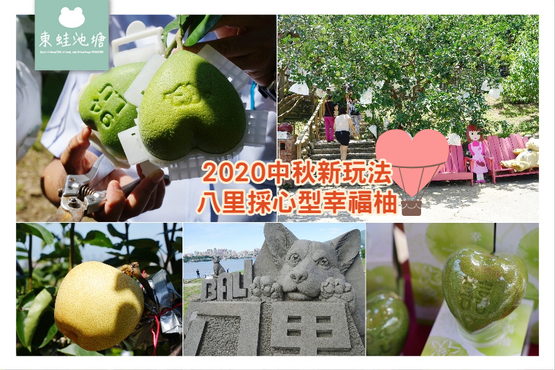 新北八里採心型幸福柚 美味黃金柚惑合菜