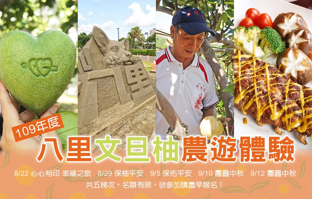 體驗採摘心型文旦柚