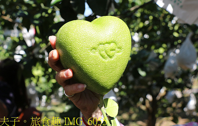 幸福文旦柚農遊體驗之旅 幸福滿滿滿！