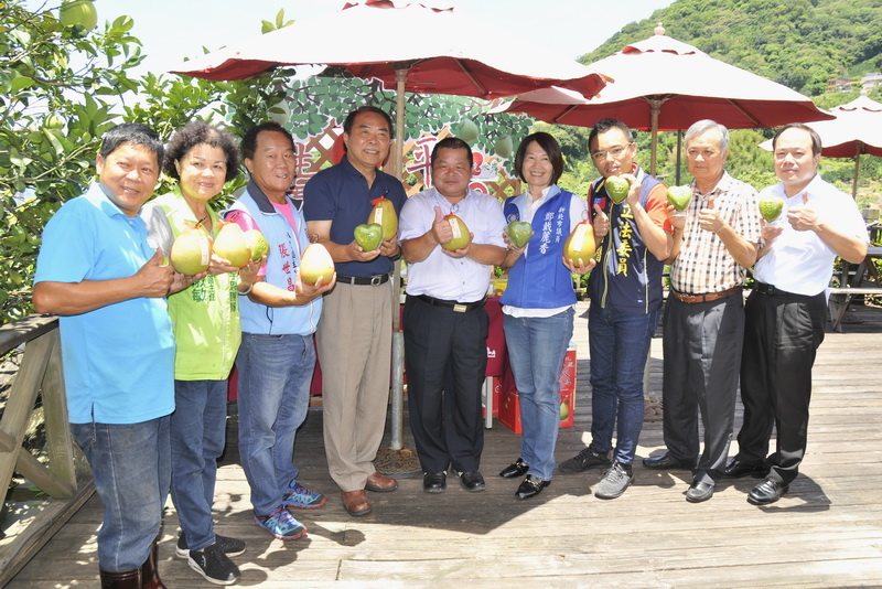 八里文旦柚「平安99、幸福999」中元、中秋送禮最佳良伴