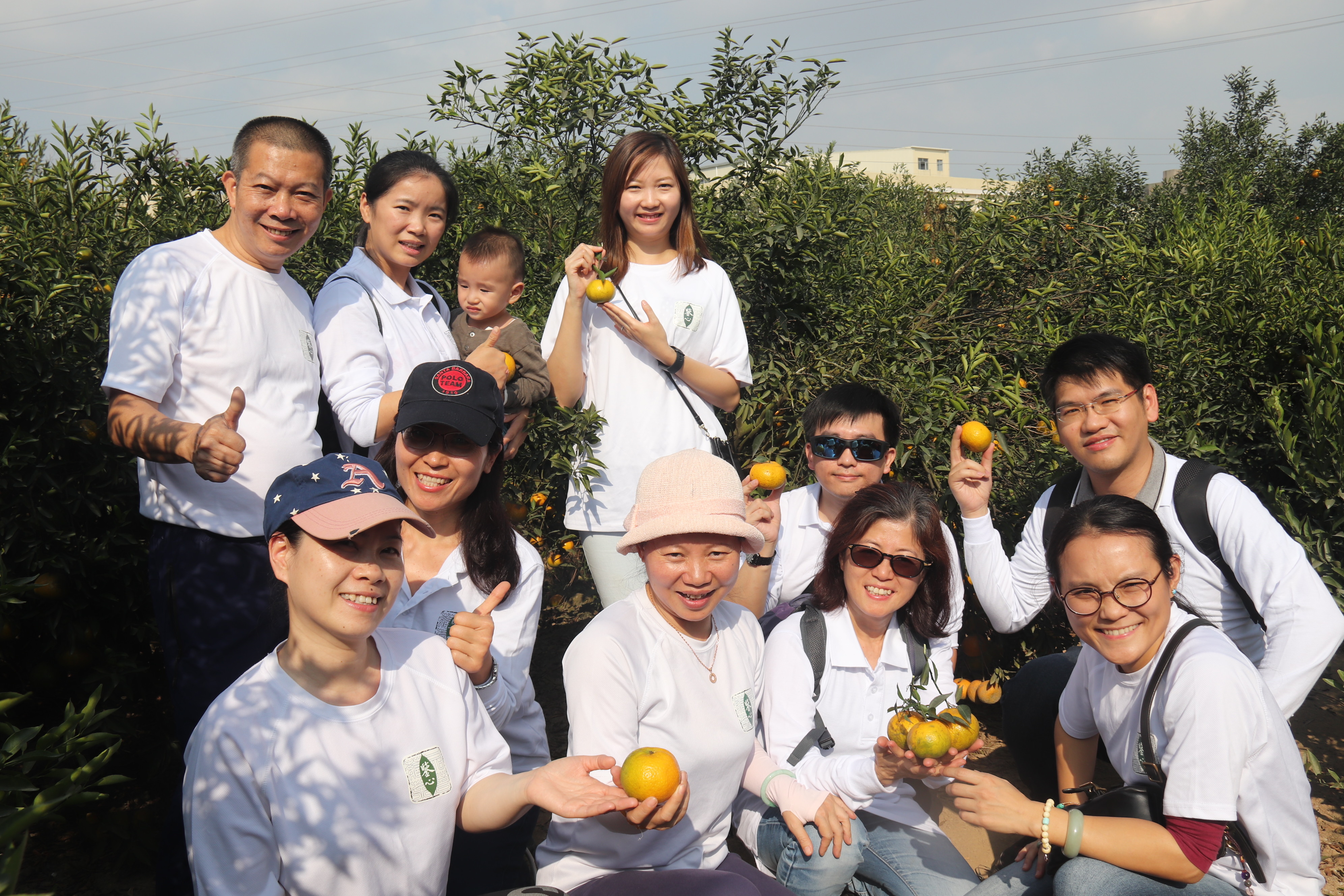 鑒心軒新會柑園