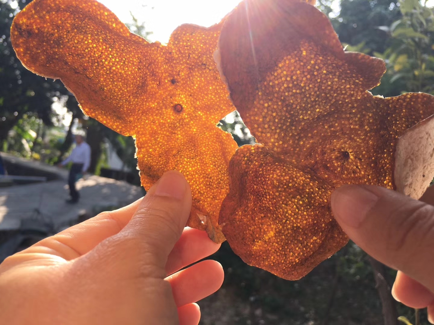 鑒心軒新會陳皮