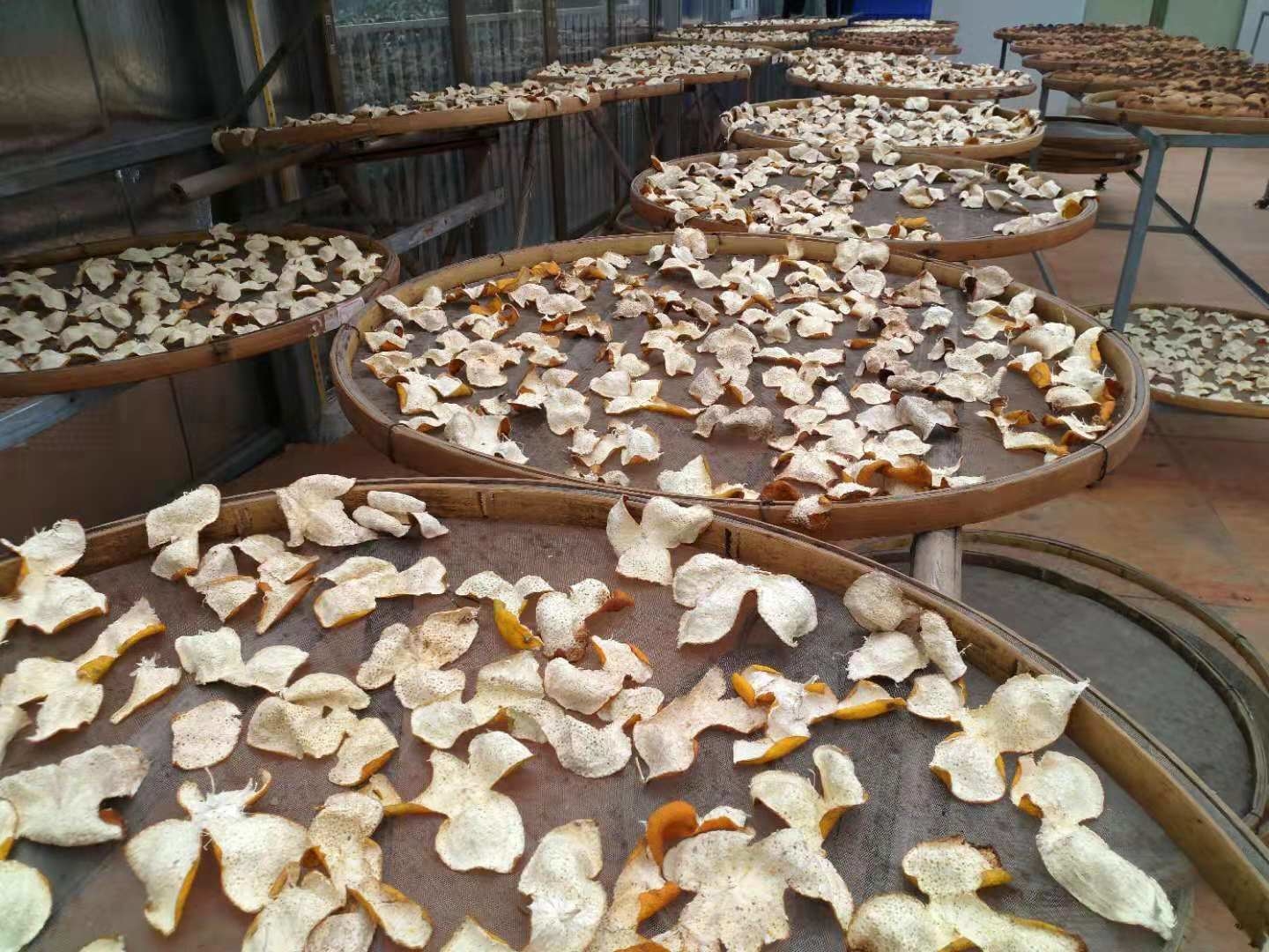 鑒心軒新會陳皮