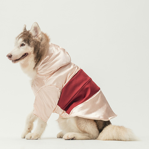 PEHOM x Somthing Studio - 成功送養 - 5寶