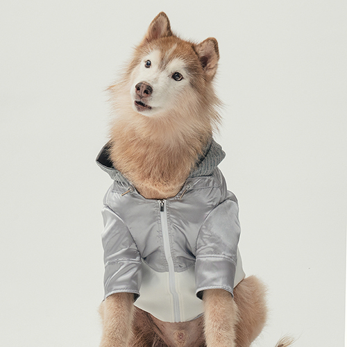 PEHOM x Somthing Studio - 待領養 - 103寶