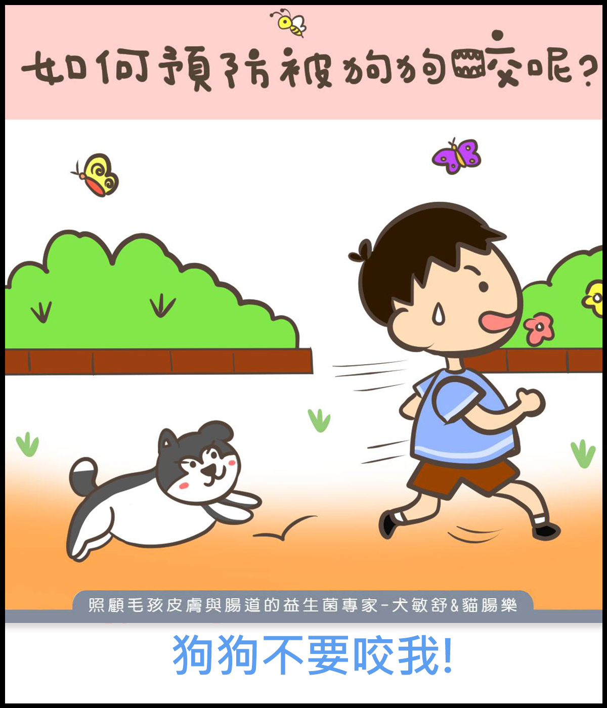 how-to-prevent-bit-by-a-dog